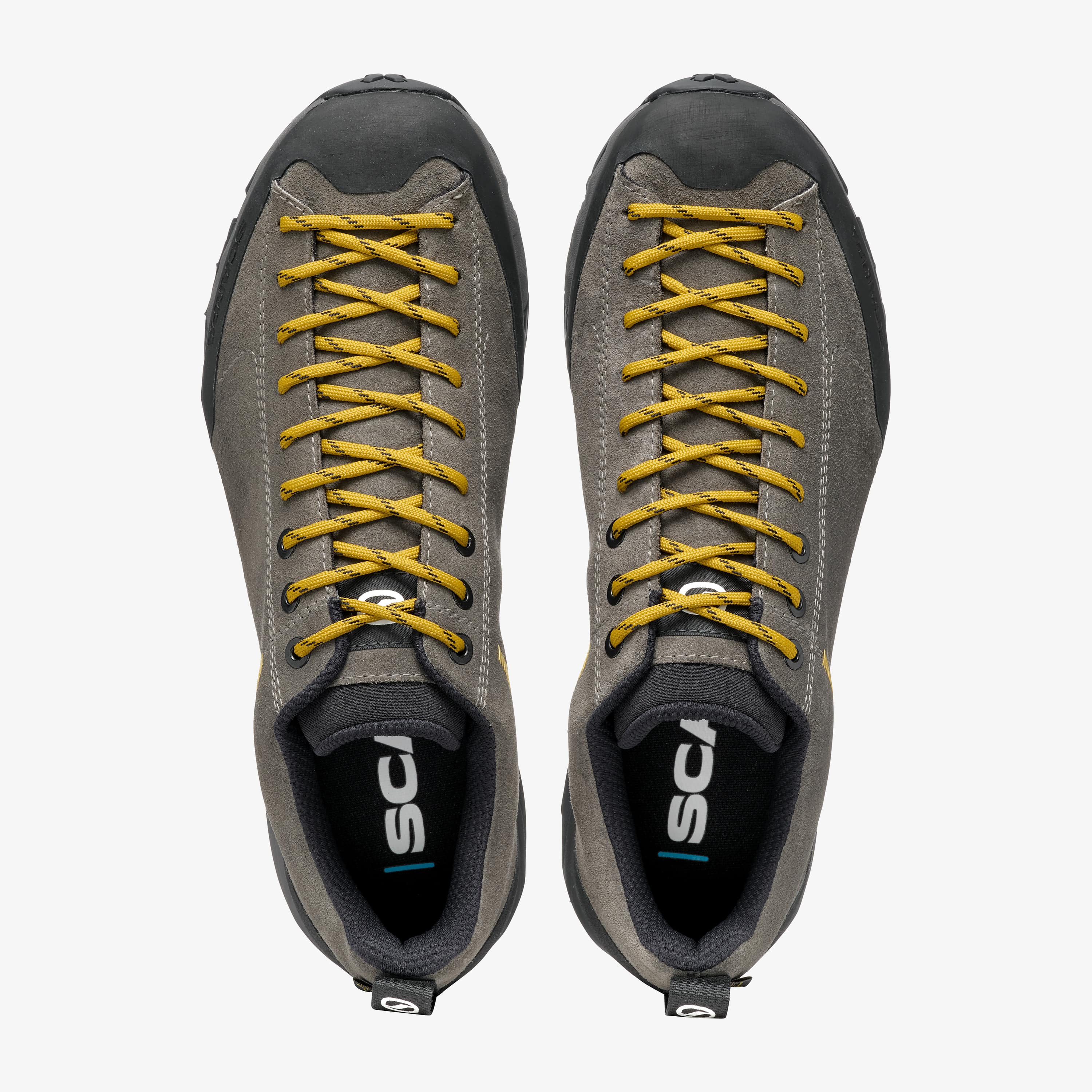 Mojito Trail GTX  Titanium - Mustard